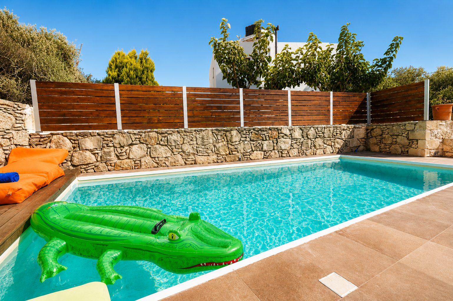 Villa Philokalia pool photo 30